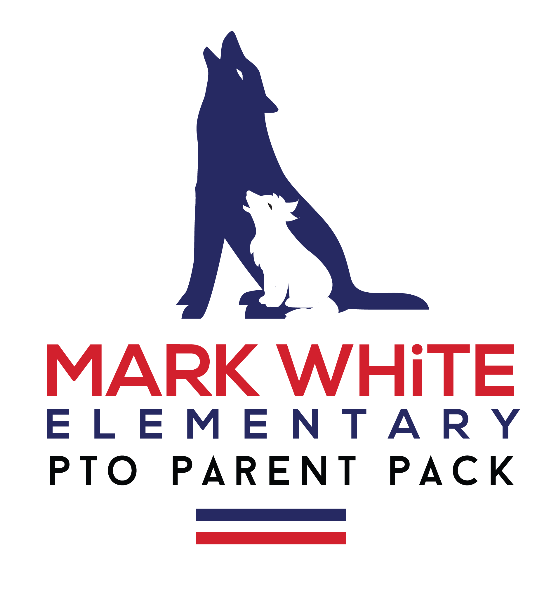 L'école Mark White Elementary utilise Savio.fr avec ses élèves